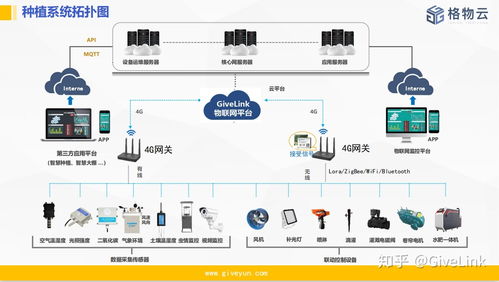 物联网技术服务 赋能现代温室大棚的智能化管理革命
